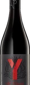 YALUMBA Y SHIRAZ