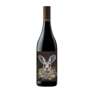 Are You Game Shiraz 750ml